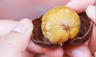 粟子如何脱壳 粟子如何脱壳保存
