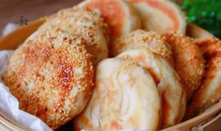 麻酱饼的做法大全（麻酱饼的做法大全图解）