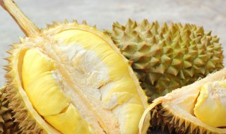 冰冻的榴莲可以冷冻吗 冻榴莲直接放冷冻吗