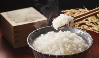 剩米饭怎么保存 剩米饭怎么保存不变馊