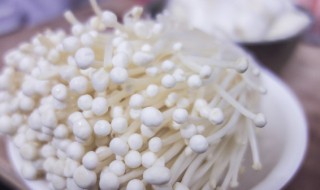 清蒸蒜蓉白金针菇的做法（清蒸蒜蓉白金针菇的做法窍门）