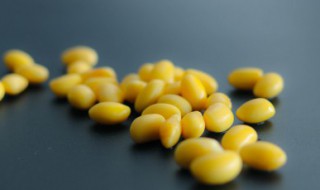 家庭自制养生纳豆的做法 纳豆做法家庭做法