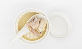 虫草枸杞鸽子汤的做法 虫草枸杞鸽子汤的做法大全