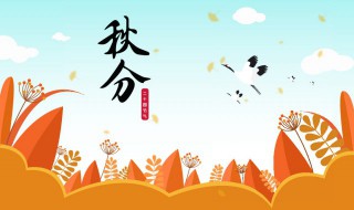 秋天喝什么汤最好 秋天喝什么汤最好养生