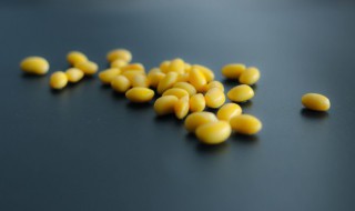 黄豆炒咸菜的做法 黄豆炒咸菜的做法视频