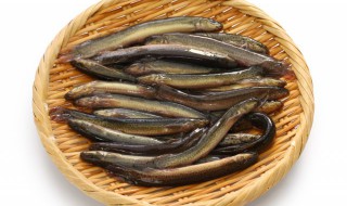 泥鳅豆腐的做法（泥鳅豆腐的做法大全家常做法红烧）