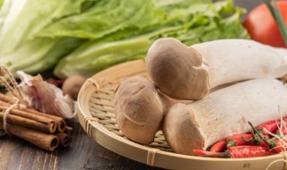 鸡腿菇炒白菜的做法（鸡腿菇炒白菜的做法大全家常）