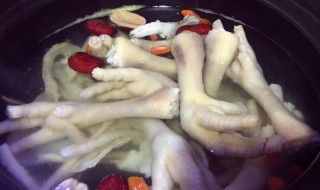 药膳当归鸡脚的做法（药膳当归鸡脚的做法视频）