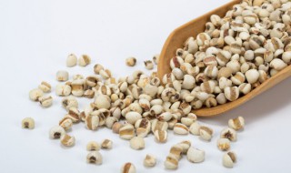薏米赤小豆汤 薏米赤小豆汤可以天天喝吗