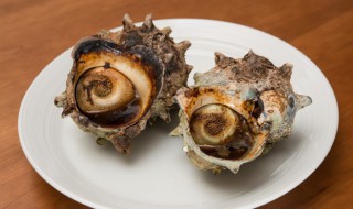 食用螺类大全（食用螺种类）