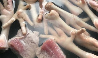 鸡脚煲汤（鸡脚煲汤的12种做法）
