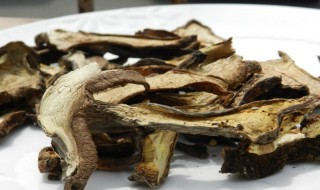 干牛肝菌怎么泡 干牛肝菌怎么泡发泡多久