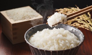 蒸米饭需要放多少水 蒸米饭需要放多少水多少米
