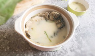 营养鲫鱼汤 营养鲫鱼汤百科