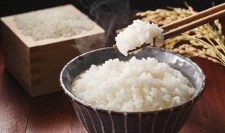 电饭锅煮饭放多少水（电饭锅煮饭放多少水图片）