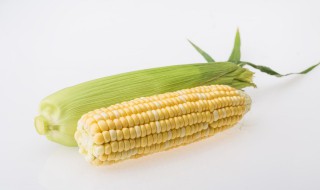 玉米需要蒸多久（玉米需要蒸多久才能熟?）