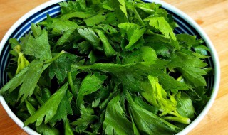 芹菜叶汤 番茄鸡蛋芹菜叶汤