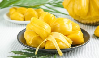 怎么判断菠萝蜜有没有熟 怎么判断菠萝蜜有没有熟透
