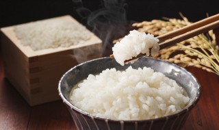 米饭要蒸多久（蒸熟米饭要蒸多久）