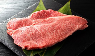 牛腩是牛的什么部位 牛腩是牛的哪一部位