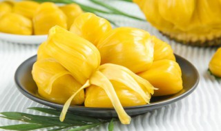怎么挑选菠萝蜜 怎么挑选菠萝蜜熟不熟
