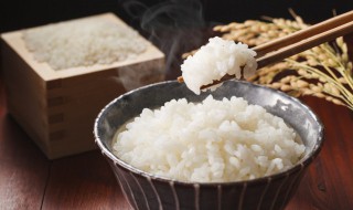 米饭放多少水（米饭放多少水手指）
