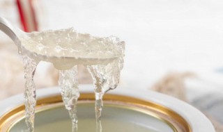燕窝怎样炖煮 燕窝怎样炖煮过程