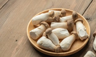 杏鲍菇怎么吃才好吃（杏鲍菇怎么吃才好吃又营养）