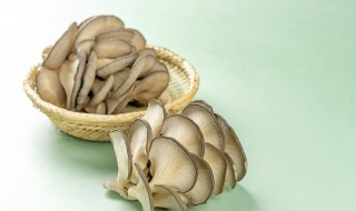 蘑菇干怎么做好吃（蘑菇干怎么做好吃又简单）