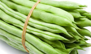 四季豆和豆角的区别 四角豆和四季豆的区别