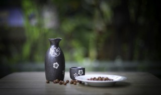 蒸馏酒是什么酒（水果蒸馏酒是什么酒）