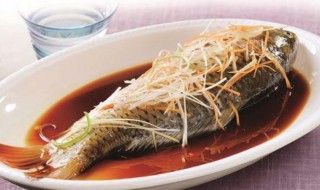 镜鲤鱼怎么做好吃（镜鲤鱼怎么做好吃视频）