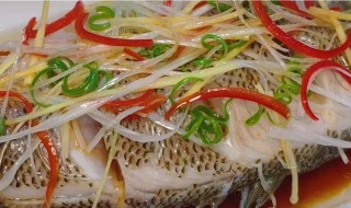 冰鲜鲈鱼怎么做好吃（冰鲜鲈鱼怎么做好吃窍门）