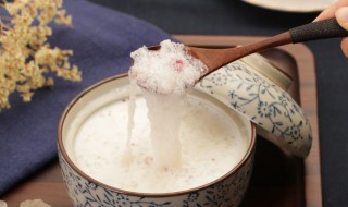 雪燕是什么东西 雪燕是什么东西 有什么功效怎么吃