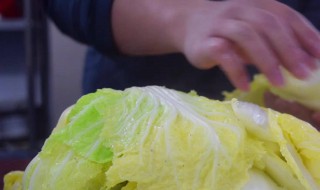 酸辣大白菜的腌制方法（腌酸辣大白菜最简单的方法）