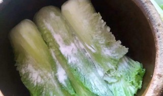 酸咸菜的腌制方法（酸咸菜的腌制方法尖椒）