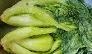 东北腌酸菜的方法 东北酸菜家常腌制方法