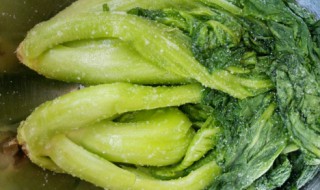 酸菜的腌制方法窍门（无盐酸菜的腌制方法窍门）