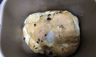 面包机做酸奶面包 面包机做酸奶面包的家常做法