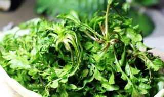 荠荠菜怎么吃法大全 荠荠菜怎样吃