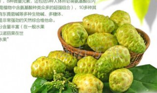 诺丽果汁功效 诺丽果复合果汁的功效