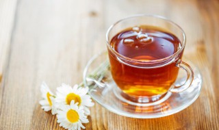 养肝护肝茶（养肝护肝茶的功效与作用）