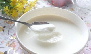 吃完饭能喝酸奶吗 吃完饭能喝酸奶吗早餐