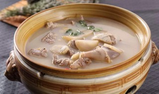 酸萝卜鸭掌汤 酸萝卜鸭掌汤怎么做