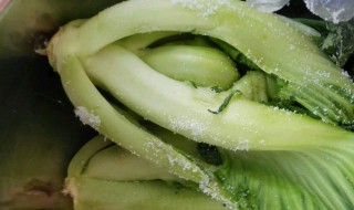 生腌酸菜方法 生腌酸菜的做法大全