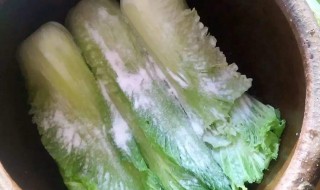 酸菜的泡制方法（制作泡酸菜的方法）