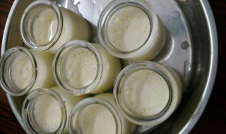 怎样用酸奶制作酸奶（怎样用酸奶制作酸奶的方法）