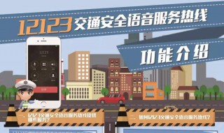 12123服务异常怎么办 12123提示服务异常是什么情况