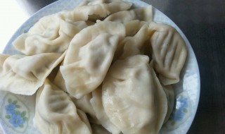 酸菜肉馅饺子的做法 酸菜肉馅饺子的做法视频