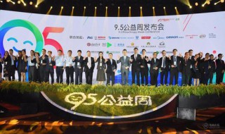 阿里巴巴95公益周是什么 95公益周是什么意思